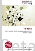 Rodent