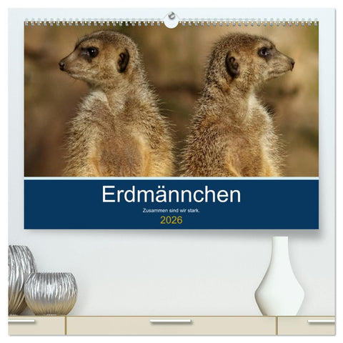 Erdmännchen - Zusammen sind wir stark (hochwertiger Premium Wandkalender 2026 DIN A2 quer), Kunstdruck in Hochglanz