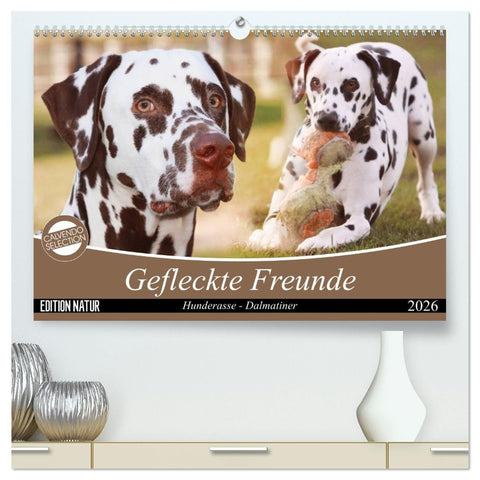 Gefleckte Freunde - Hunderasse Dalmatiner (hochwertiger Premium Wandkalender 2026 DIN A2 quer), Kunstdruck in Hochglanz