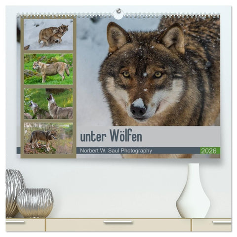 unter Wölfen (hochwertiger Premium Wandkalender 2026 DIN A2 quer), Kunstdruck in Hochglanz