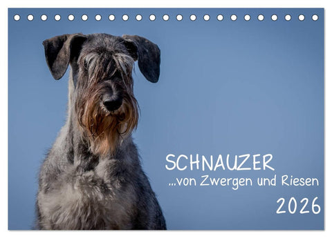 Schnauzer... von Zwergen und Riesen 2026 (Tischkalender 2026 DIN A5 quer), CALVENDO Monatskalender