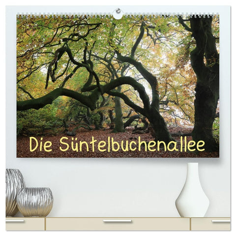 Die Süntelbuchenallee (hochwertiger Premium Wandkalender 2026 DIN A2 quer), Kunstdruck in Hochglanz