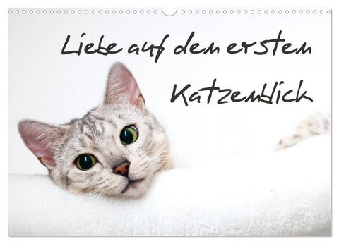 Liebe auf den ersten Katzenblick (Wandkalender 2026 DIN A3 quer), CALVENDO Monatskalender