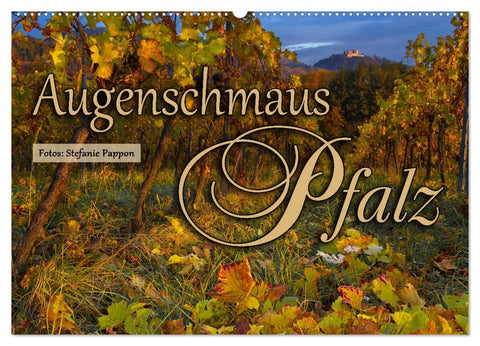 Augenschmaus Pfalz (Wandkalender 2026 DIN A2 quer), CALVENDO Monatskalender