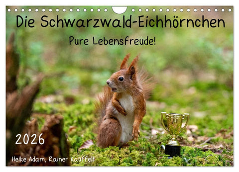 Die Schwarzwald-Eichhörnchen (Wandkalender 2026 DIN A4 quer), CALVENDO Monatskalender