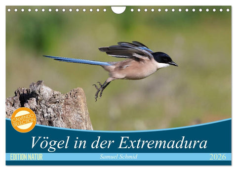 Vögel in der Extremadura (Wandkalender 2026 DIN A4 quer), CALVENDO Monatskalender