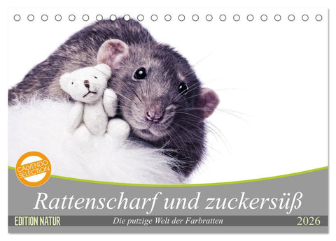 Rattenscharf und zuckersüß (Tischkalender 2026 DIN A5 quer), CALVENDO Monatskalender