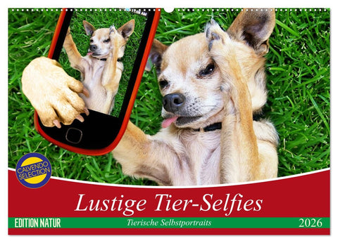 Lustige Tier-Selfies. Tierische Selbstportraits (Wandkalender 2026 DIN A2 quer), CALVENDO Monatskalender