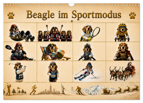 Beagle im Sportmodus (Wandkalender 2027 DIN A3 quer), CALVENDO Monatskalender