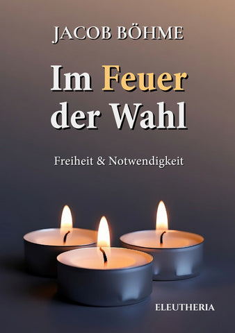 Im Feuer der Wahl