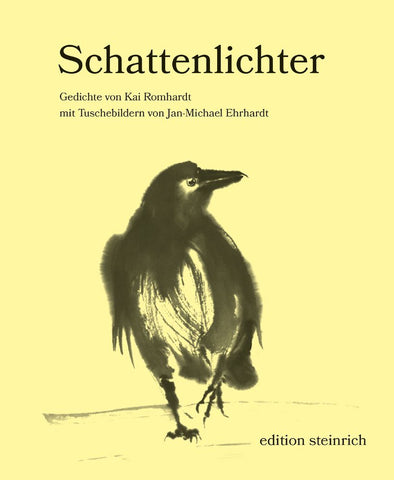 Schattenlichter