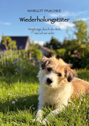 Wiederholungstäter