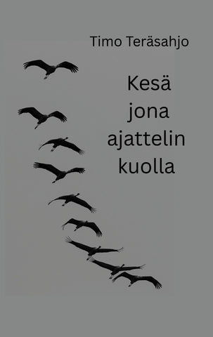 Kesä jona ajattelin kuolla