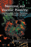 Neuronal and Vascular Plasticity