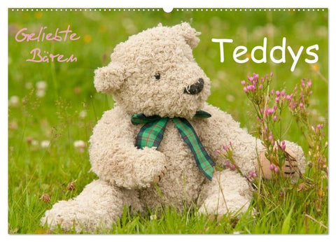 Geliebte Bären - Teddys (Wandkalender 2026 DIN A2 quer), CALVENDO Monatskalender