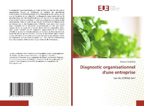 Diagnostic organisationnel d'une entreprise