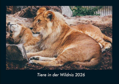 Tiere in der Wildnis 2026 Fotokalender DIN A4