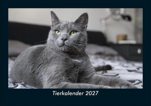 Tierkalender 2027 Fotokalender DIN A5