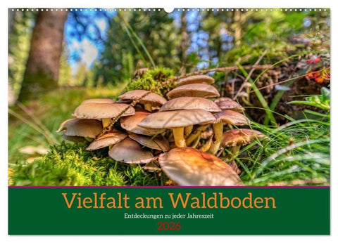 Vielfalt am Waldboden (Wandkalender 2026 DIN A2 quer), CALVENDO Monatskalender
