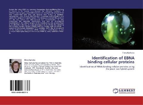 Identification of EBNA binding cellular proteins