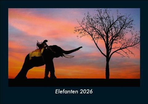 Elefanten 2026 Fotokalender DIN A5