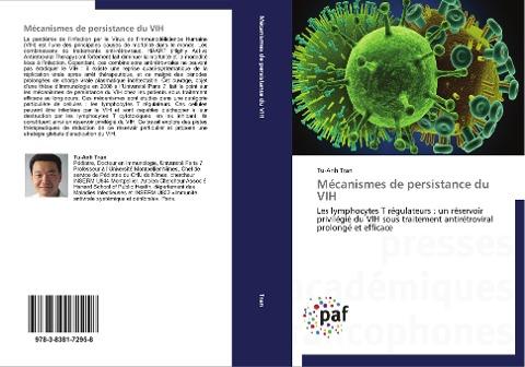 Mécanismes de persistance du VIH