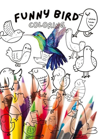 Funny Bird Coloring Book