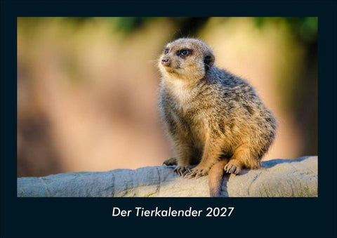 Der Tierkalender 2027 Fotokalender DIN A4