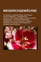 Wegerichgewächse