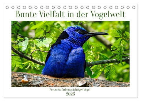 Bunte Vielfalt in der Vogelwelt (Tischkalender 2026 DIN A5 quer), CALVENDO Monatskalender