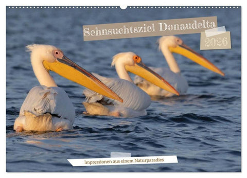 Sehnsuchtsziel Donaudelta (Wandkalender 2026 DIN A2 quer), CALVENDO Monatskalender