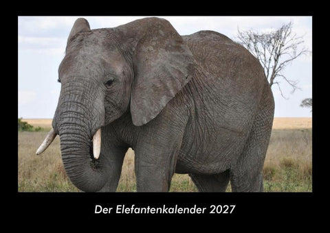 Der Elefantenkalender 2027 Fotokalender DIN A3