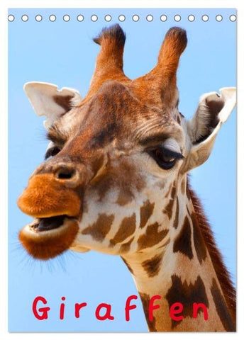 Giraffen (Tischkalender 2026 DIN A5 hoch), CALVENDO Monatskalender
