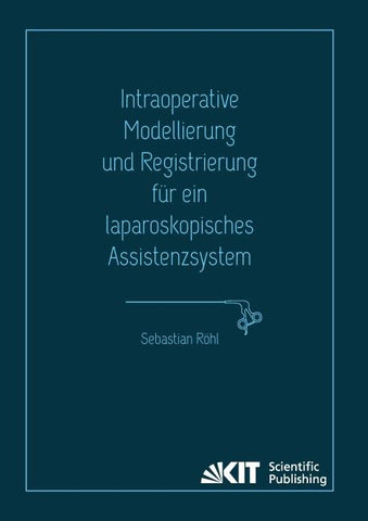 Intraoperative Modellierung und Registrierung für ein laparoskopisches Assistenzsystem