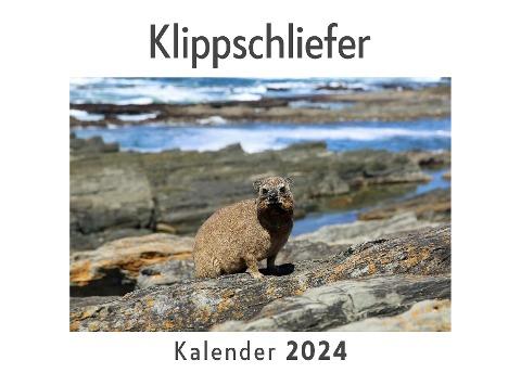 Klippschliefer (Wandkalender 2024, Kalender DIN A4 quer, Monatskalender im Querformat mit Kalendarium, Das perfekte Geschenk)
