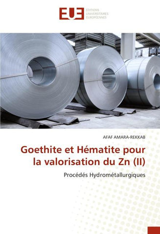 Goethite et Hématite pour la valorisation du Zn (II)