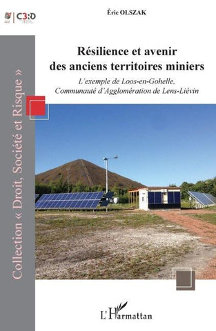 Résilience et avenir des anciens territoires miniers