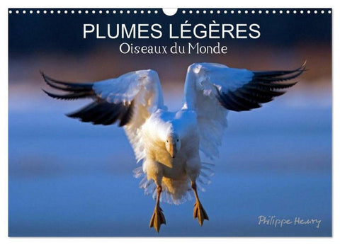 PLUMES LÉGÈRES. Oiseaux du Monde (Calendrier mural 2026 DIN A3 vertical), CALVENDO calendrier mensuel