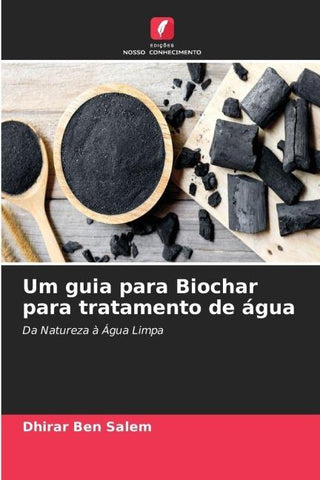 Um guia para Biochar para tratamento de água