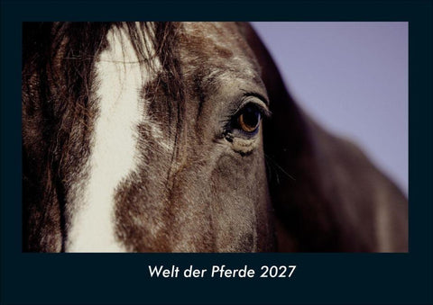 Welt der Pferde 2027 Fotokalender DIN A4
