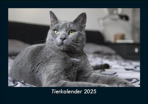 Tierkalender 2025 Fotokalender DIN A5