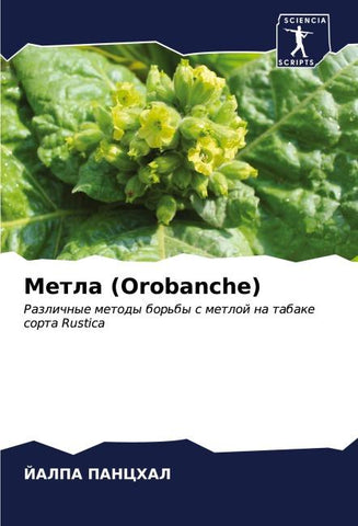 Metla (Orobanche)