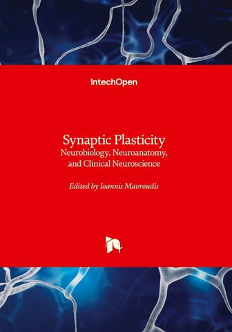 Synaptic Plasticity - Neurobiology, Neuroanatomy, and Clinical Neuroscience