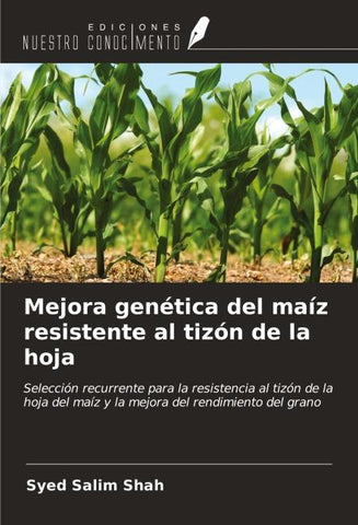 Mejora genética del maíz resistente al tizón de la hoja
