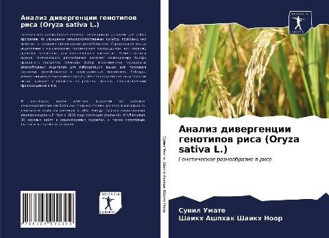 Analiz diwergencii genotipow risa (Oryza sativa L.)