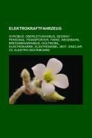 Elektrokraftfahrzeug