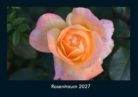 Rosentraum 2027 Fotokalender DIN A4