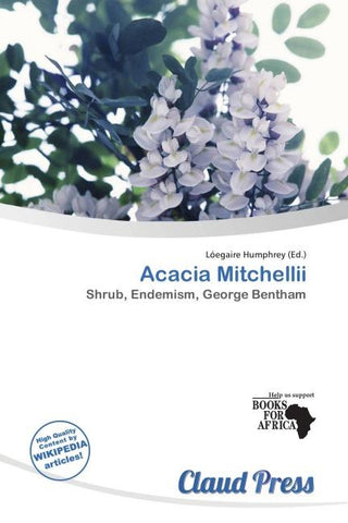 Acacia Mitchellii