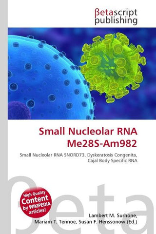 Small Nucleolar RNA Me28S-Am982