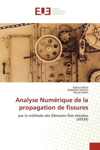 Analyse Numérique de la propagation de fissures